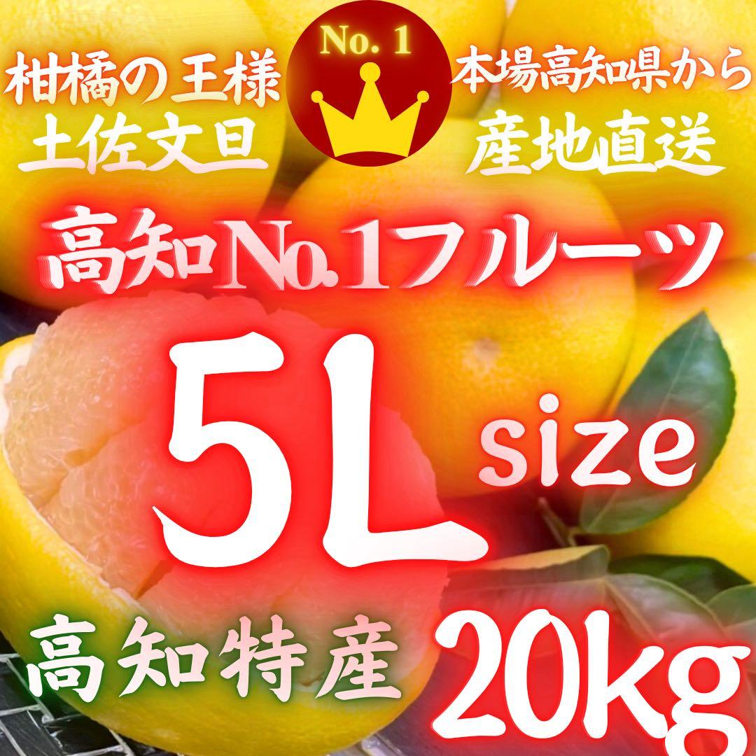 特大サイズ 高知特産 露地栽培 土佐文旦 文旦 約20kg 5L 特大