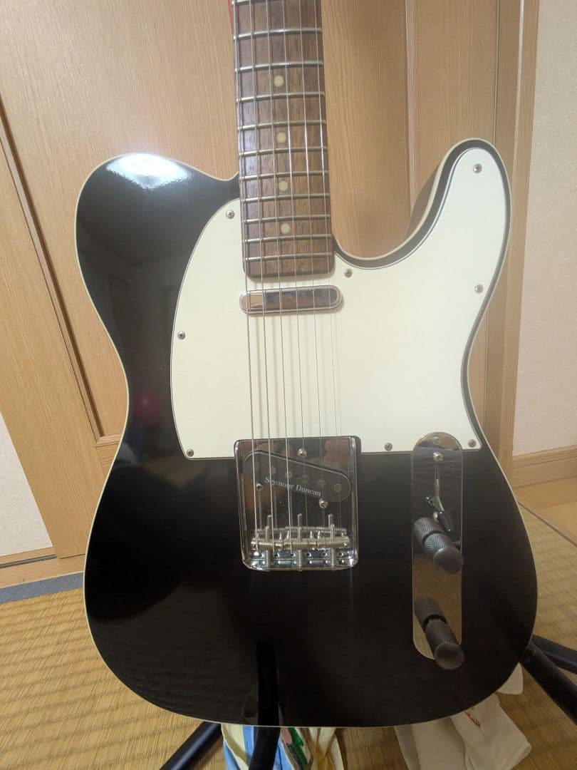 EDWARDS E-TE-100CTM/LT ダンカンPU ラッカー