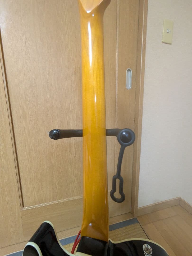 EDWARDS E-TE-100CTM/LT ダンカンPU ラッカー