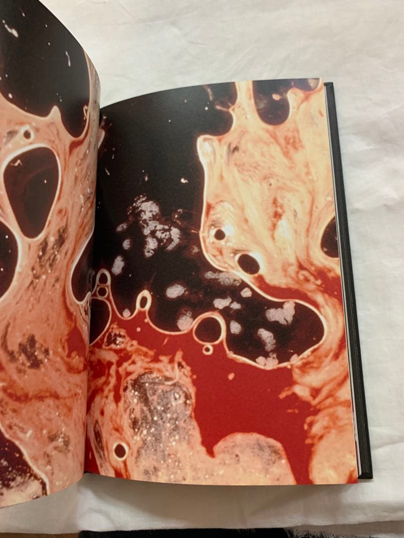 アンドレス・セラーノ A History of Sex 希少