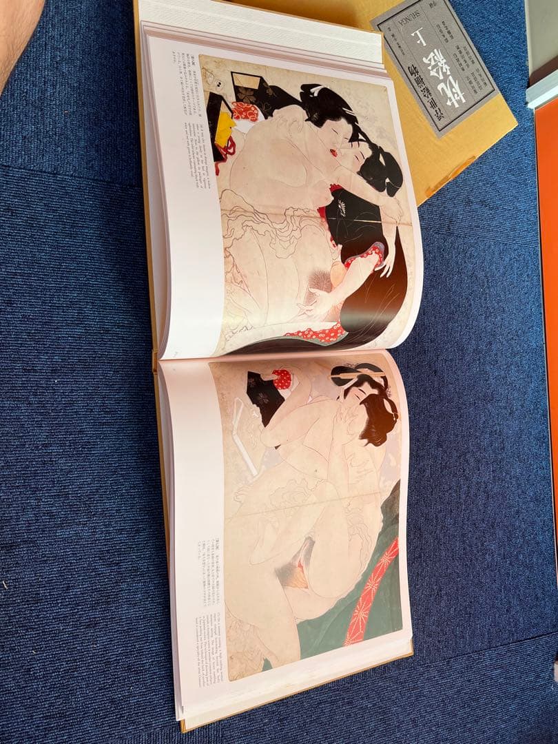 1096 浮世絵揃物　枕絵　上下　春画