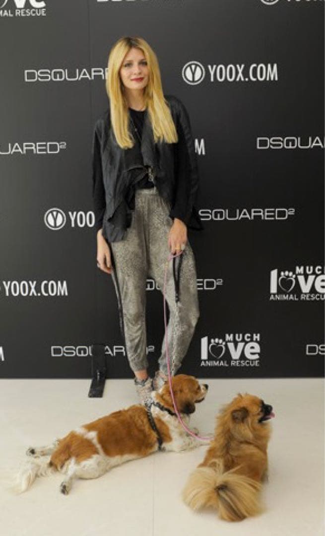 激レア DSQUARED 2 DOG Harness 犬用スタッズ付ハーネス