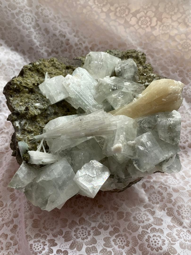 アポフィライト