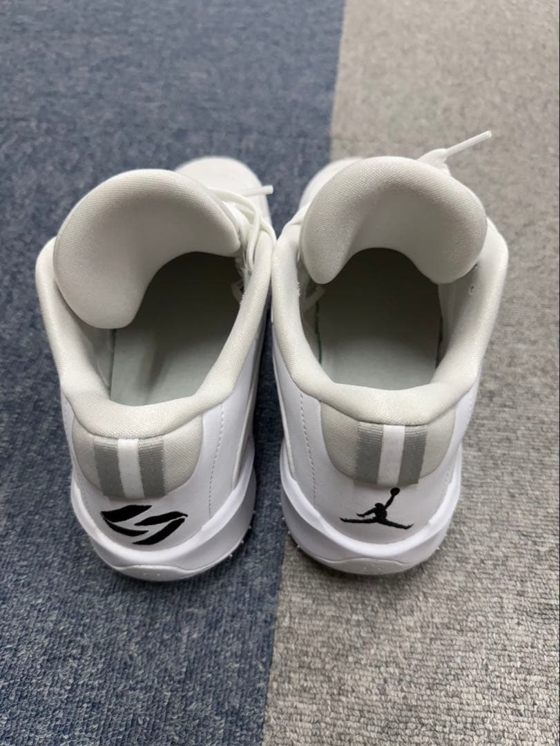 NIKE JORDAN LUKA 3 TB PF 28.0cm バッシュ