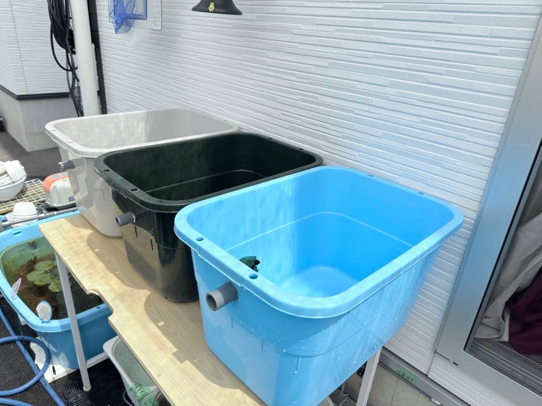★お買い得★たらい36L(4個)メダカ飼育容器オーバーフロー トロ舟プラ舟めだか