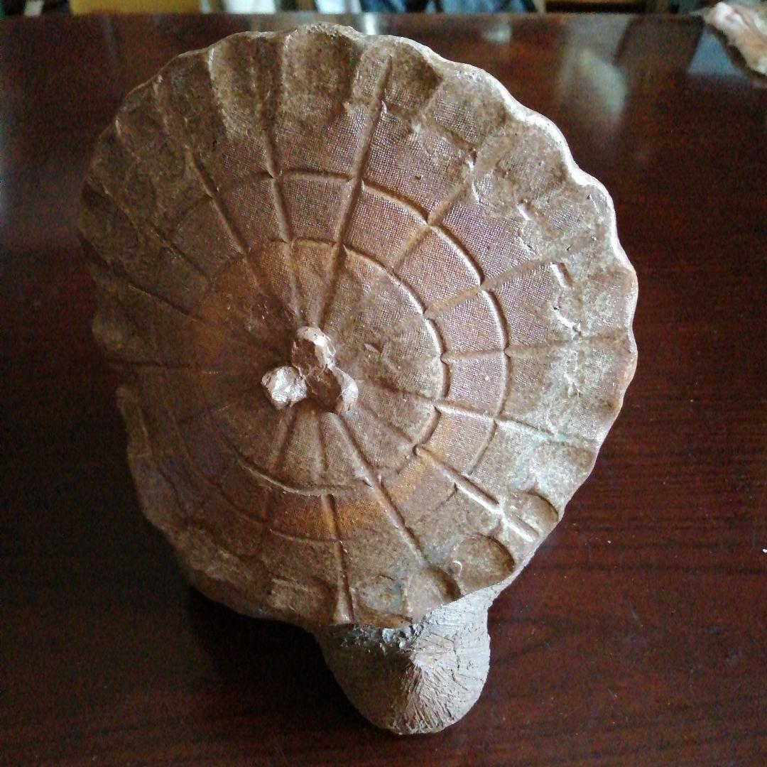 常滑焼　伯勇　狸置物　22cm　2011年