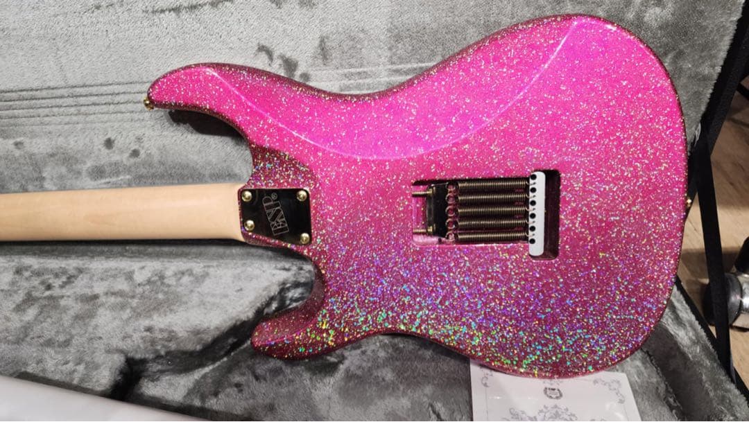 ラウルESP SNAPPER Ohmura Custom /R 新品同様