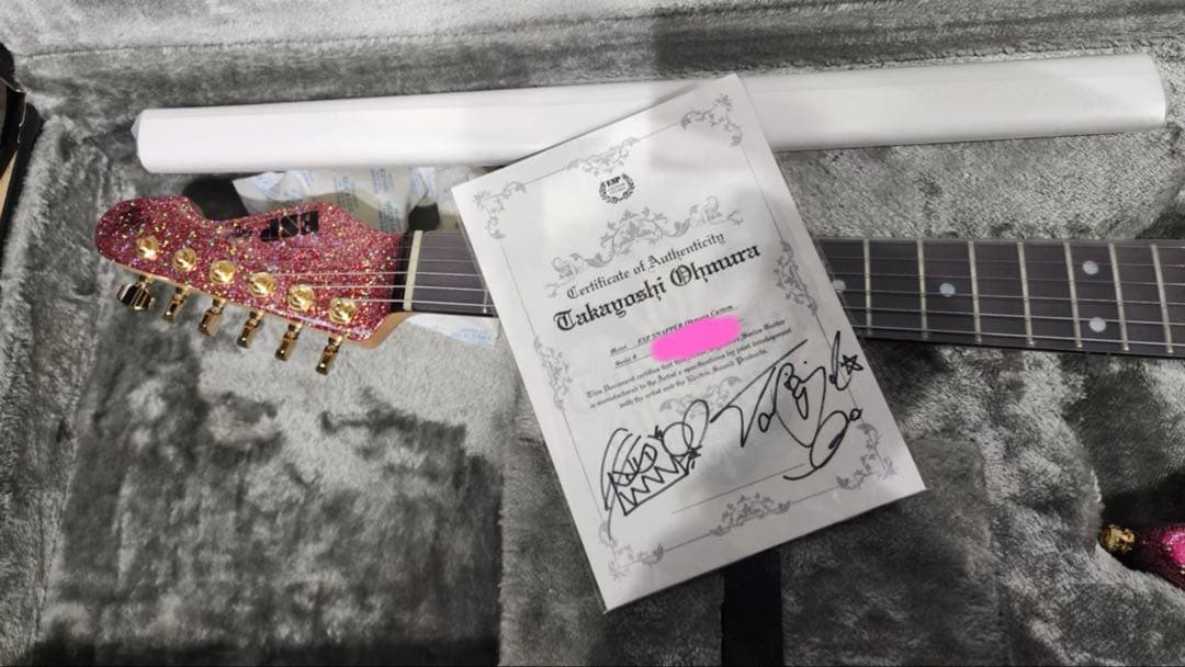 ラウルESP SNAPPER Ohmura Custom /R 新品同様