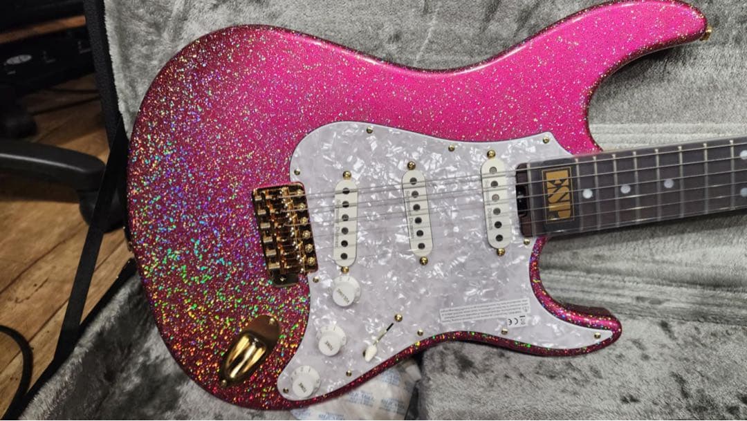 ラウルESP SNAPPER Ohmura Custom /R 新品同様