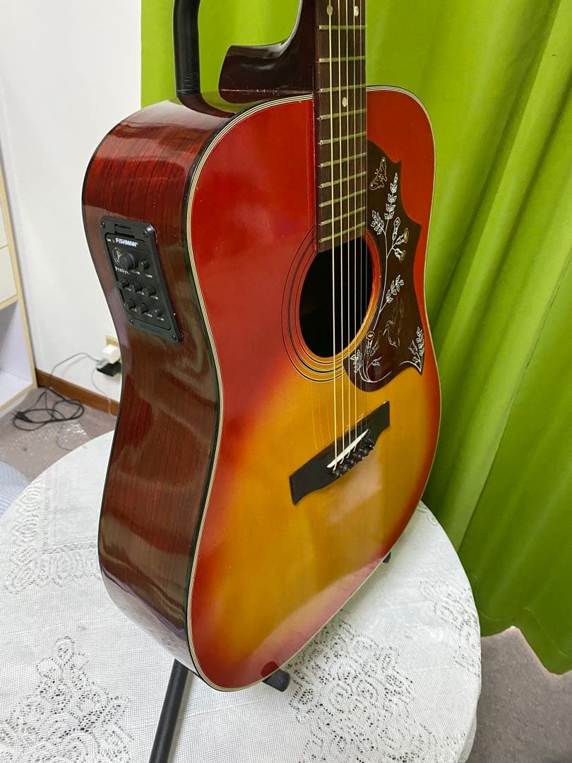 新春特価カントリーしようぜ！ハミングバードHottaエレアコ音出し良好