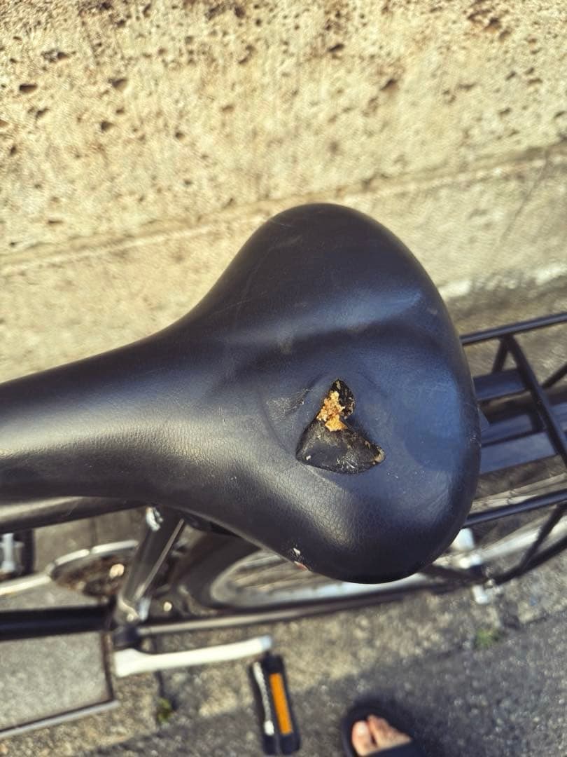 1990年代ヴィンテージのPATRIA ドイツ製の自転車