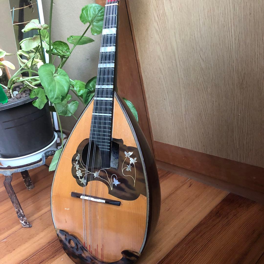 ラファエレカラーチェマンドリン　Type13