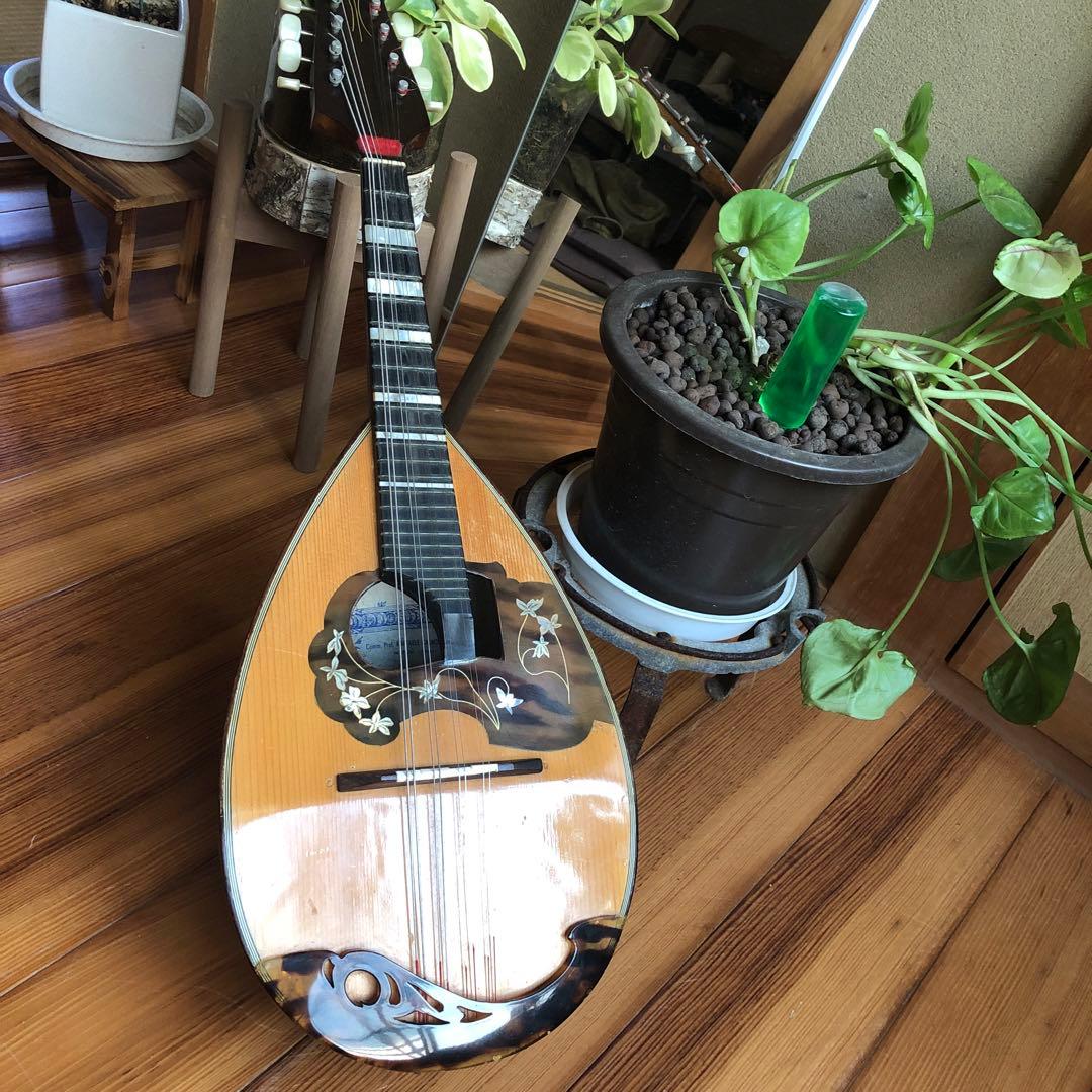 ラファエレカラーチェマンドリン　Type13