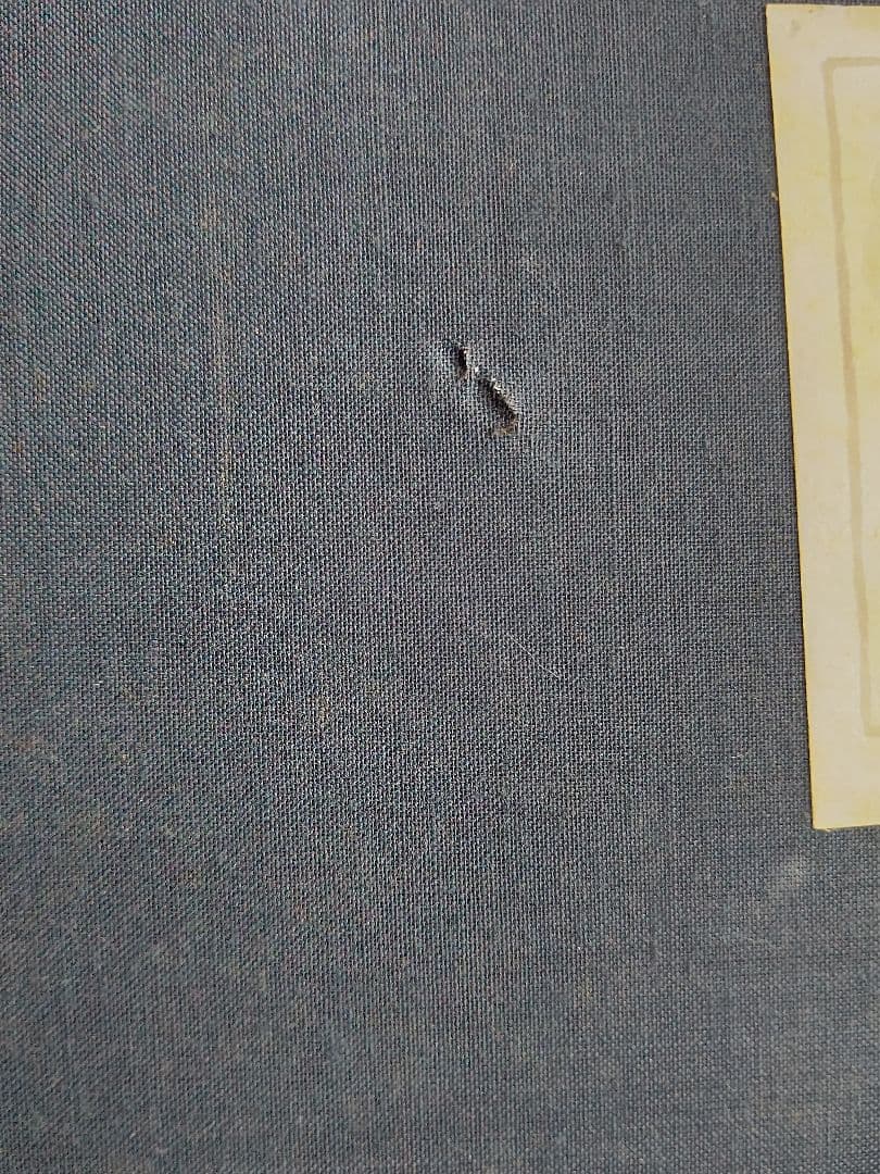 『紅白梅』佐藤太清 日本画 文化勲章