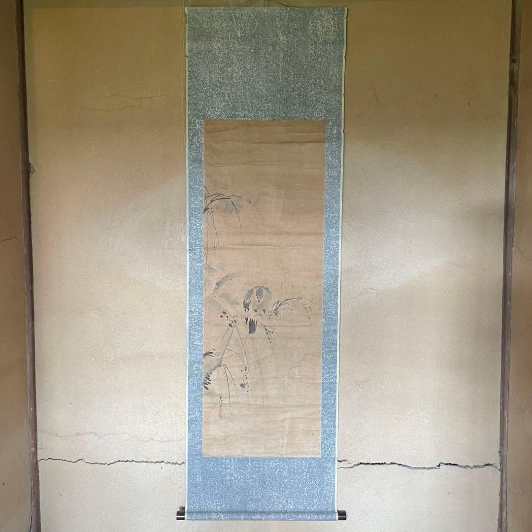 掛軸　掛け軸　狩野常信　水墨画　狩野派　サイン　落款あり　箱なし25.9.21