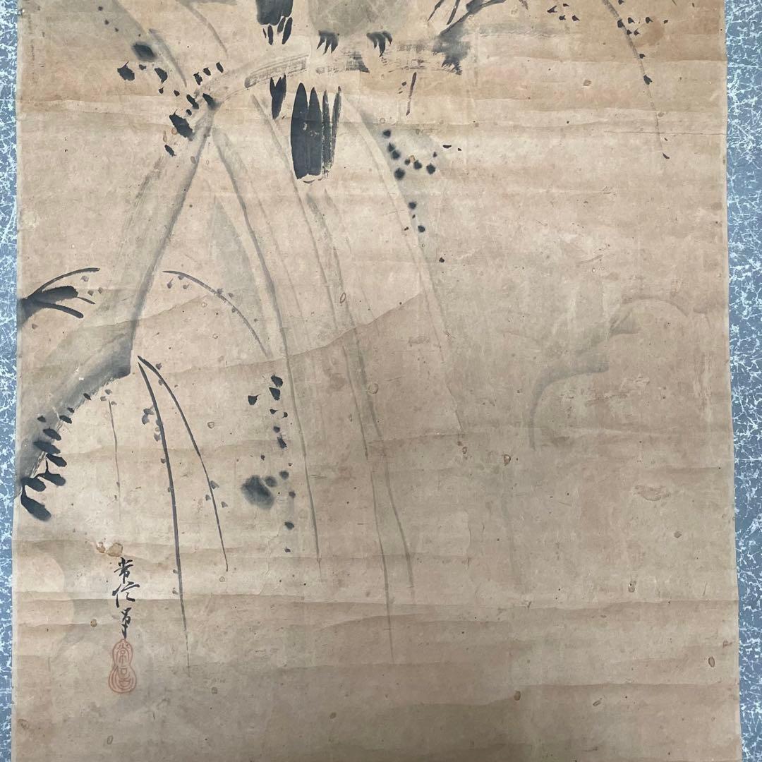 掛軸　掛け軸　狩野常信　水墨画　狩野派　サイン　落款あり　箱なし25.9.21