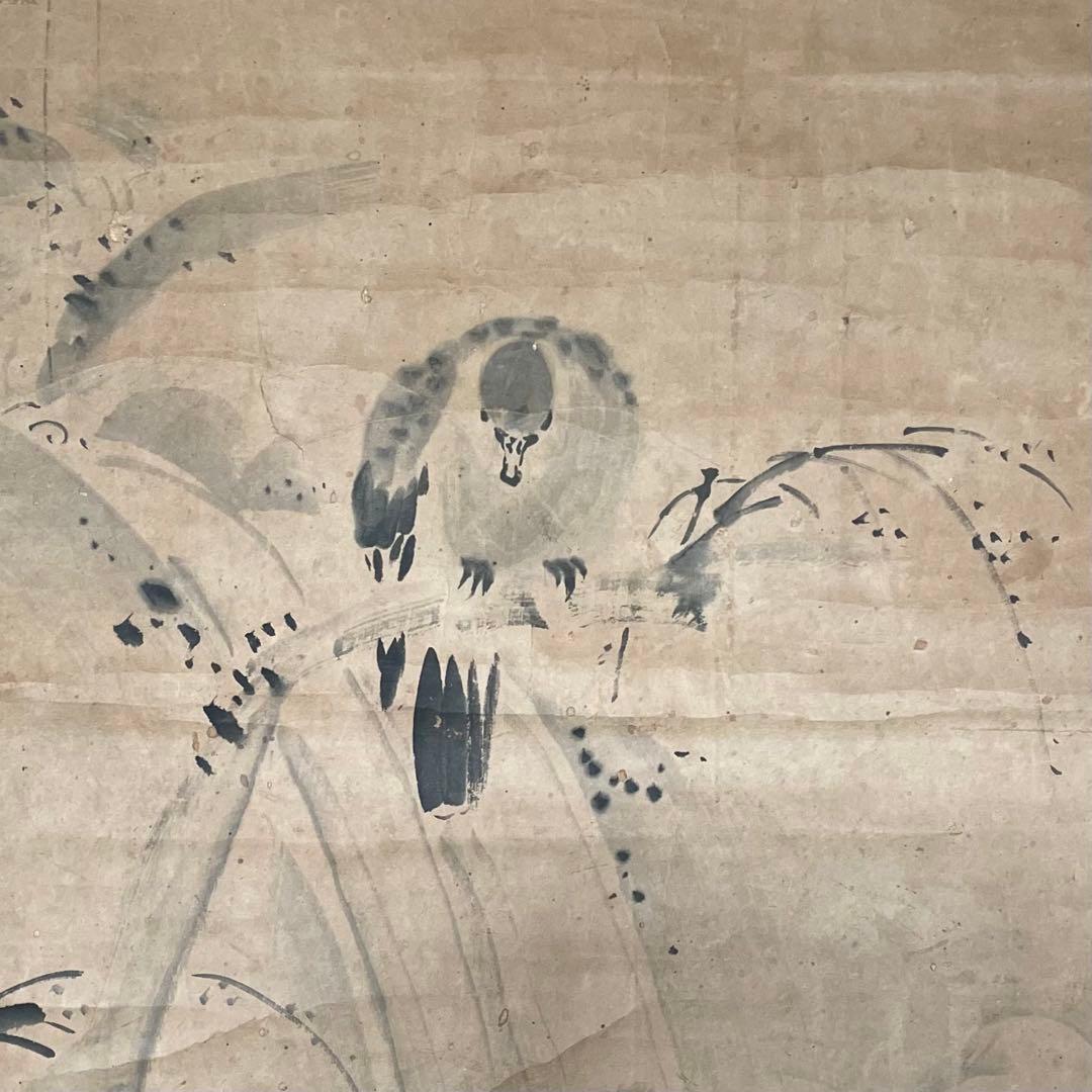 掛軸　掛け軸　狩野常信　水墨画　狩野派　サイン　落款あり　箱なし25.9.21