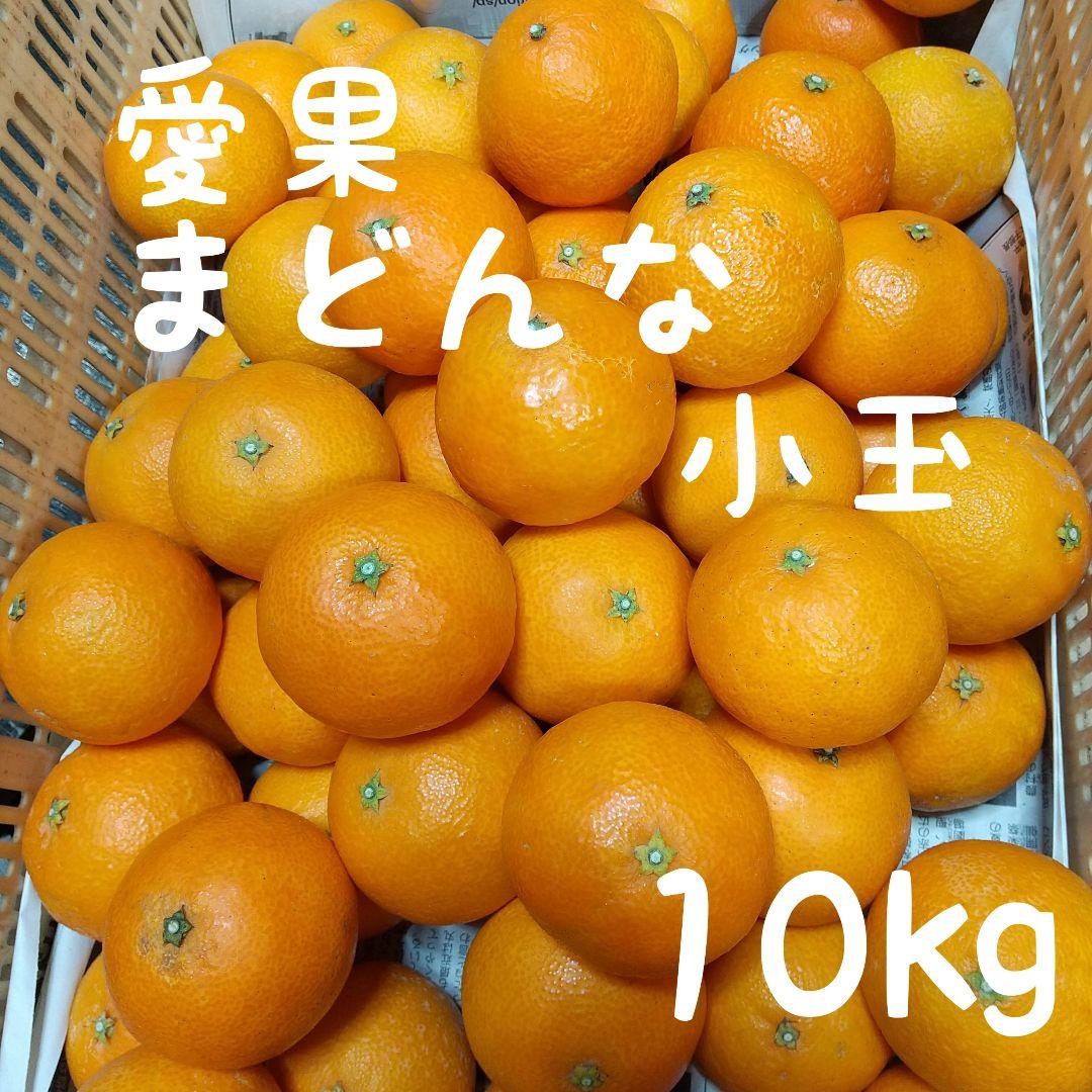 74愛果 まどんな 家庭用小玉 10kg