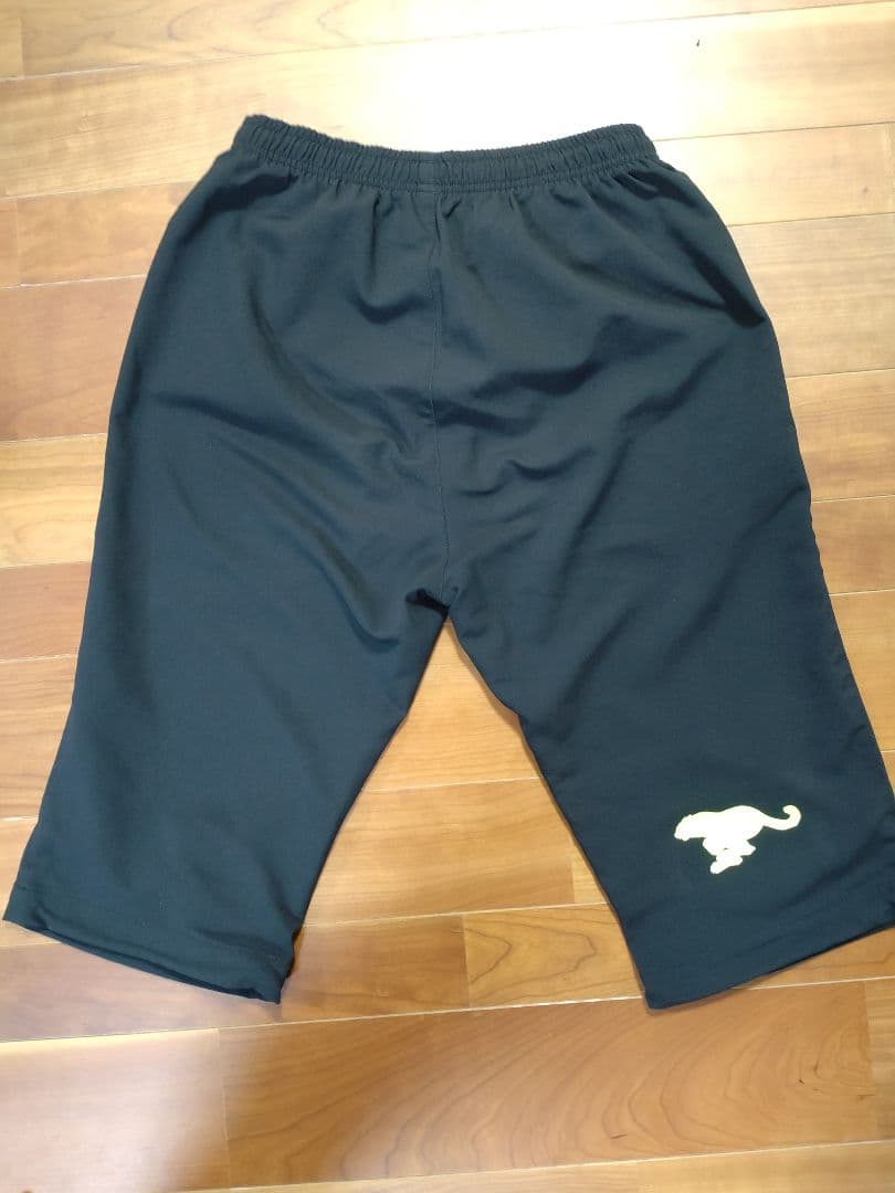 【美品】トナミ運輸バドミントン七分丈パンツ　Lsize