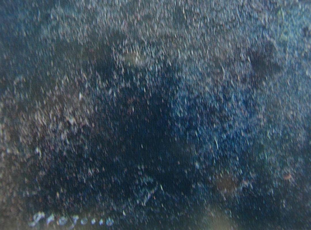 糸園 和三郎、丘の木、希少画集・額装画、新品高級額 額装付、状態良好