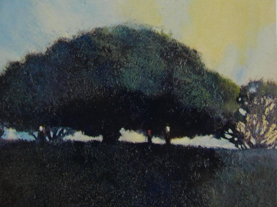 糸園 和三郎、丘の木、希少画集・額装画、新品高級額 額装付、状態良好