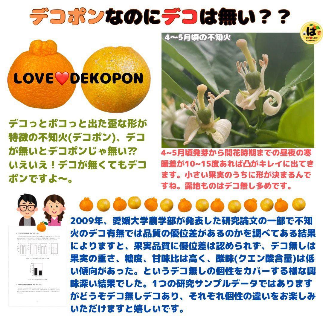 ※確認用　家庭用　大玉MIX箱込み4.5kg以上【露地栽培　不知火　デコポン】