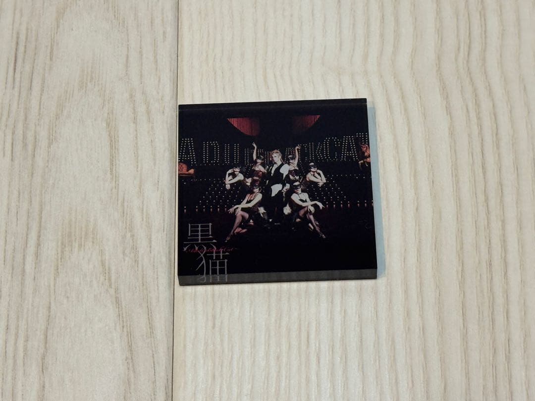 AcidBlackCherry アクリルマグネット