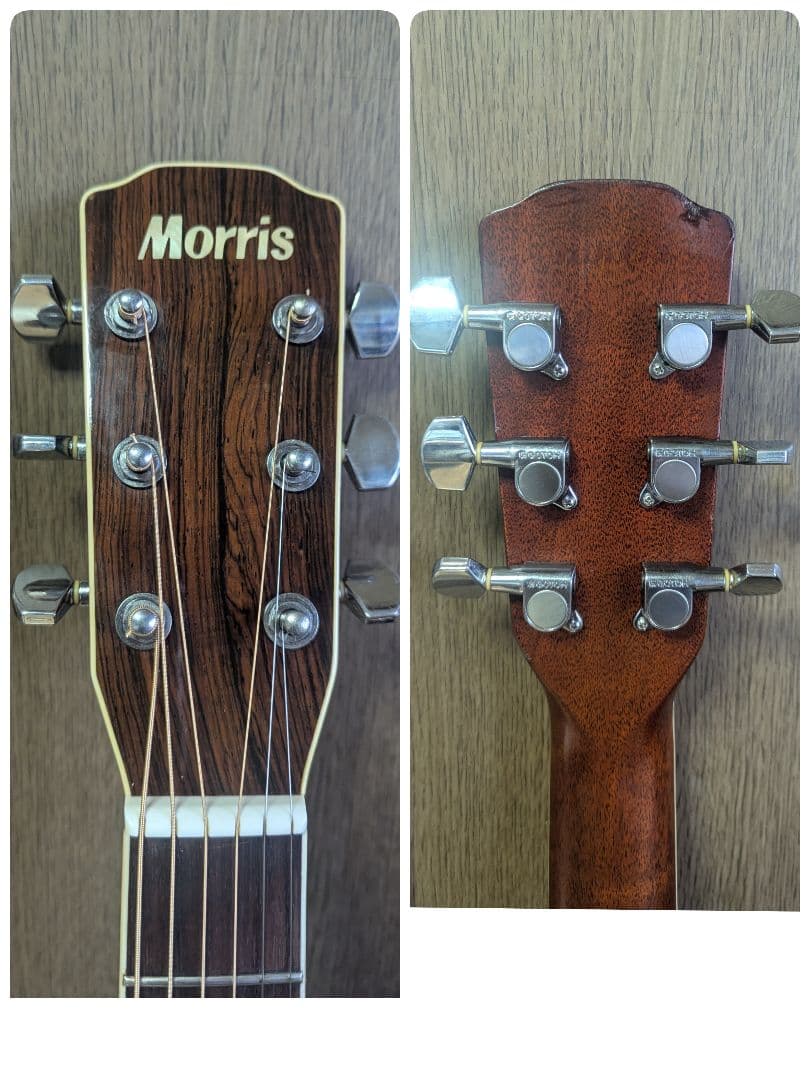 ♪訳あり！Morris　M-50F ハカランダ♪