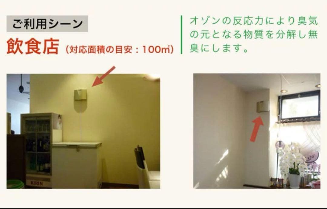 ハイジェニック HG-10 オゾン発生器