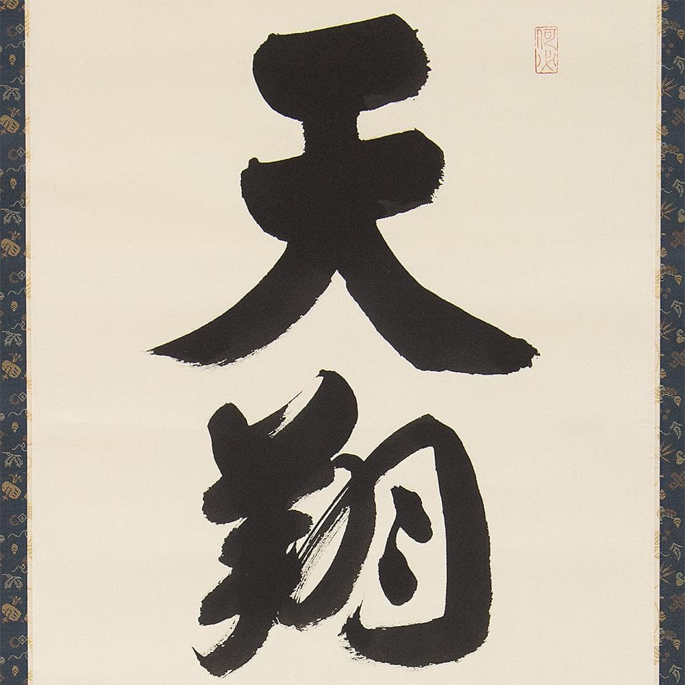 掛軸 茶掛 横物 森清範 一行書「天翔清泉寿」共箱 清水寺貫主