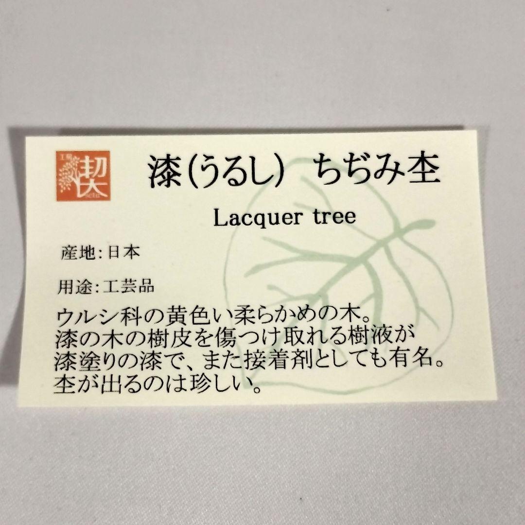 漆 ちぢみ杢　工房楔　ペンシル楔　新品未使用　0.5