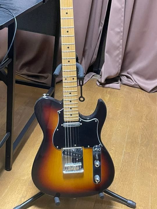 ブシゲン　エレキギター