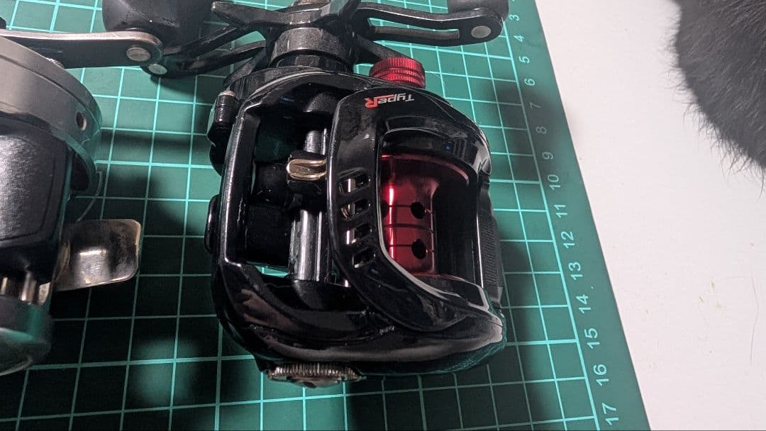 バラ売りなし タトゥーラ T3 カルカッタ