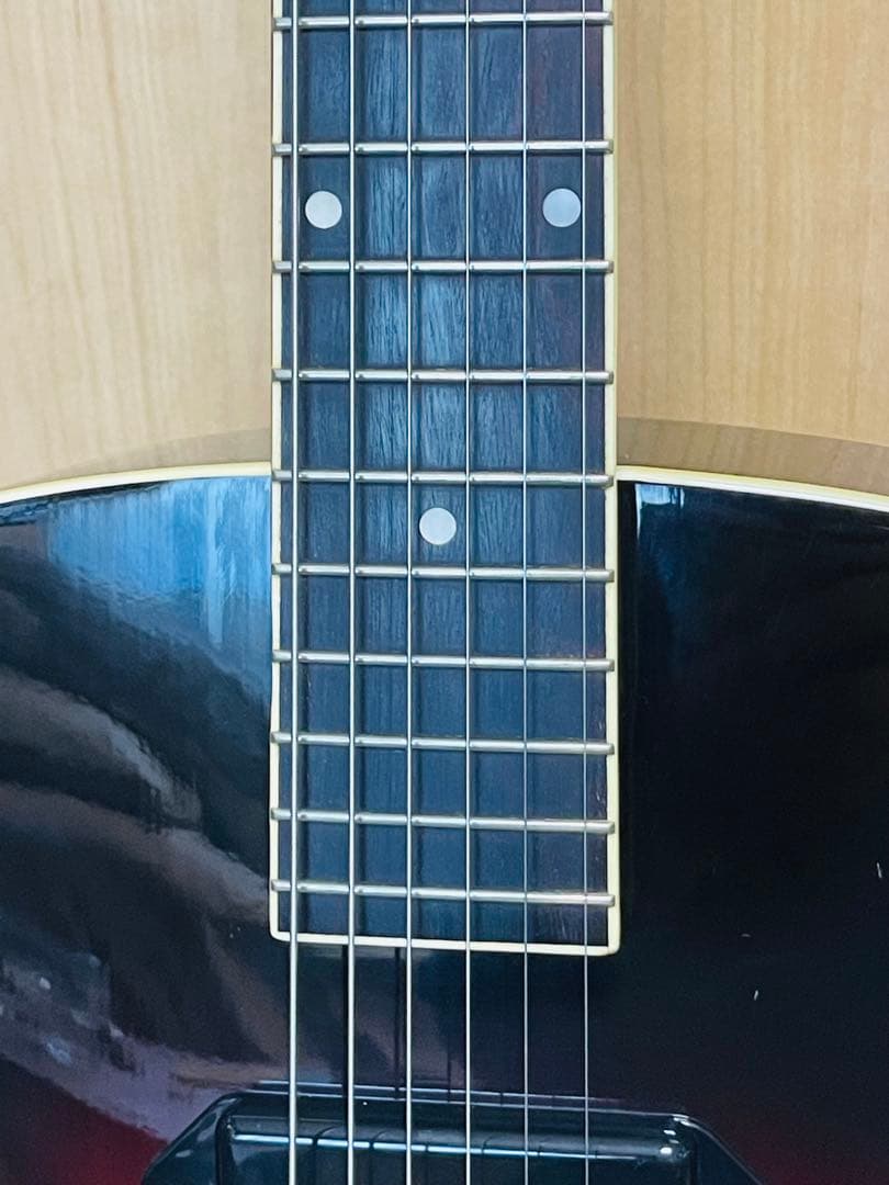 LOAR ロア LH-309 Vintage Sunburst