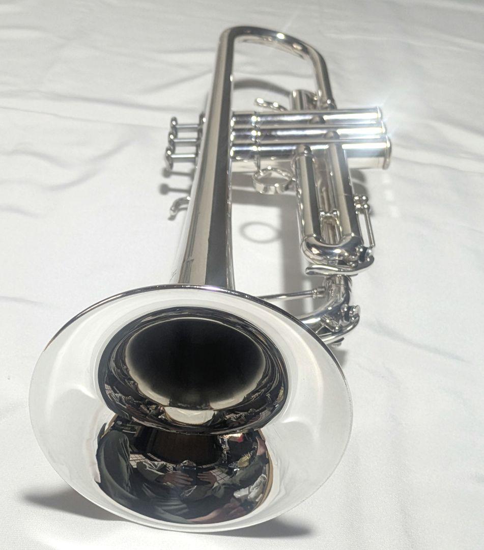 YAMAHA　 ヤマハ　YTR 800GS