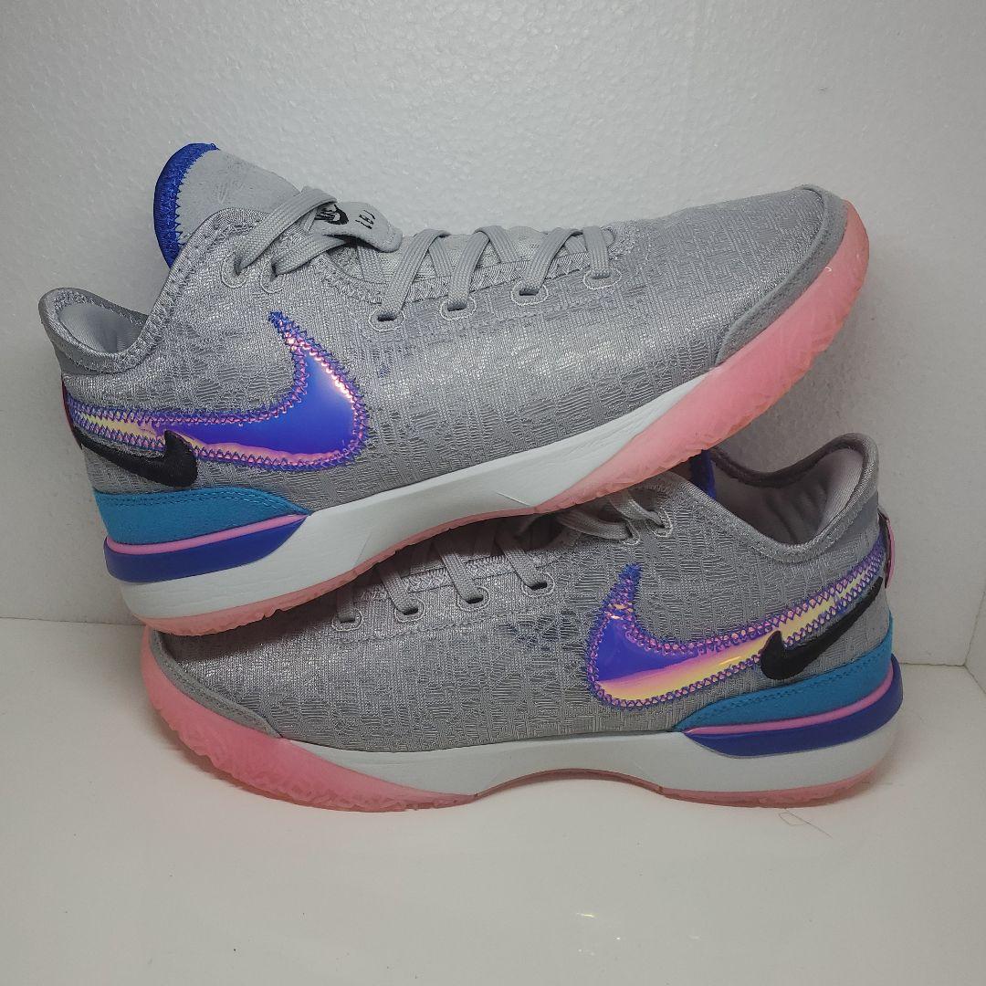 シューズ(男性用) NIKE ZOOM LEBRON NXXT GEN EP 29cm