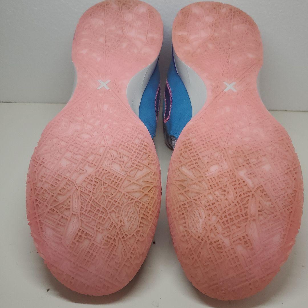 シューズ(男性用) NIKE ZOOM LEBRON NXXT GEN EP 29cm