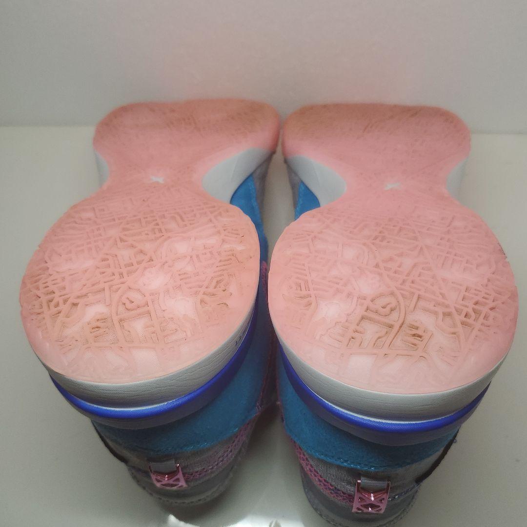 シューズ(男性用) NIKE ZOOM LEBRON NXXT GEN EP 29cm