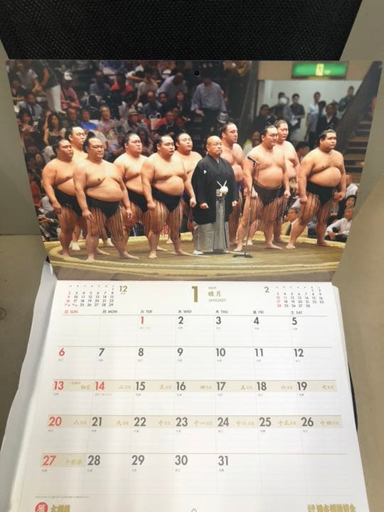 大相撲 2019年 カレンダー 壁掛け