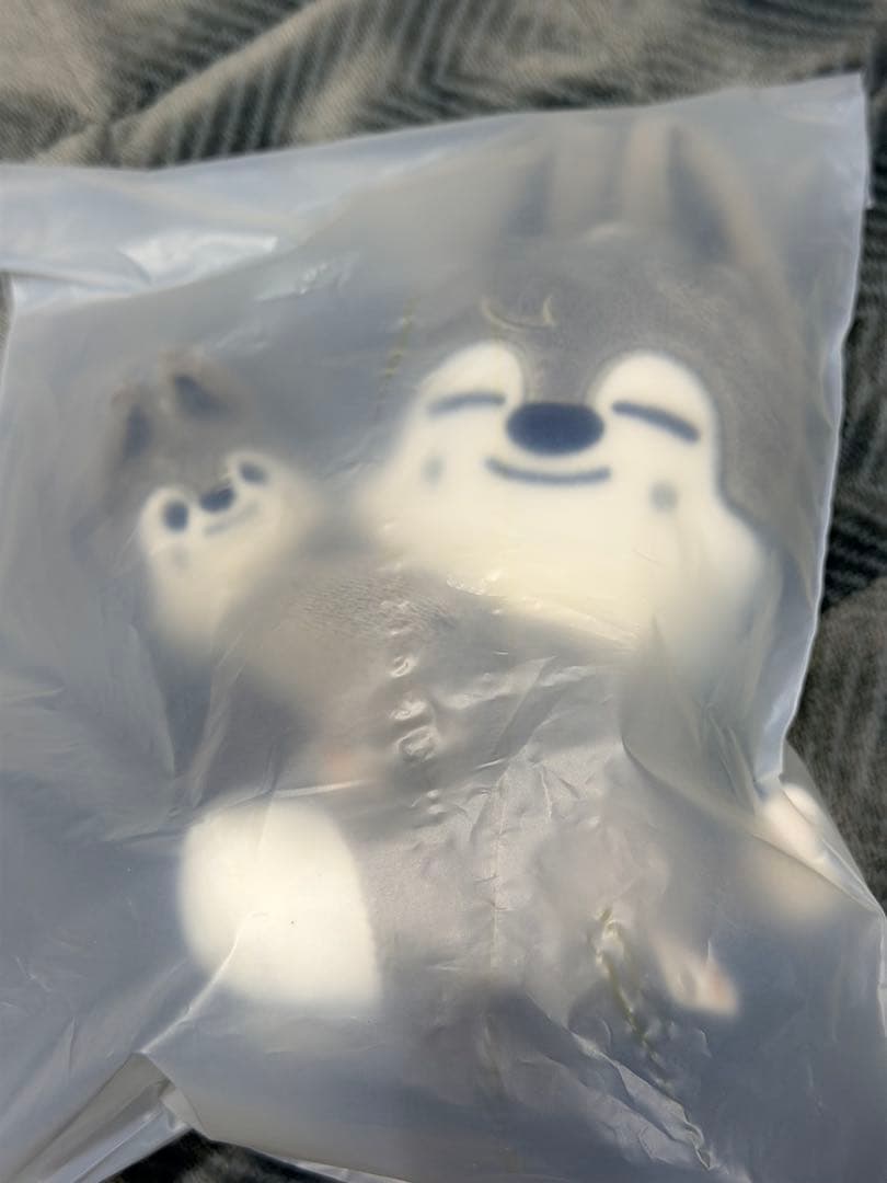 ⭐︎正規品⭐︎stray kidsMAGNET PLUSHSET ウルフチャン