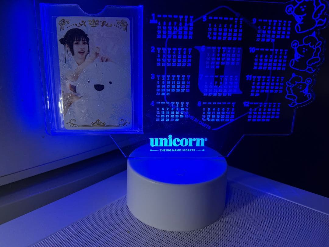 文山雪華選手ダーツライブカード➕クリアカレンダーセット付き！