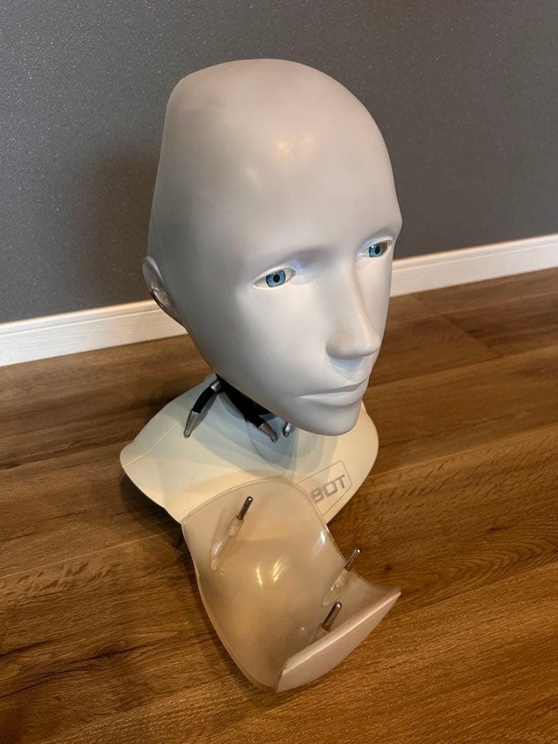 アイロボット 5000個限定 サニーヘッド 1/1 フィギュア