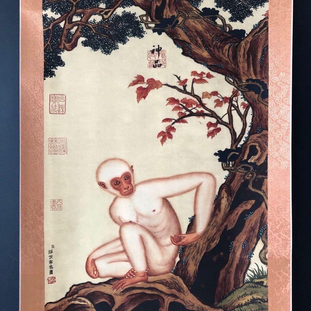 郎世宁 猿図 掛け軸｜三尺中堂｜十二生肖・申｜表装済み