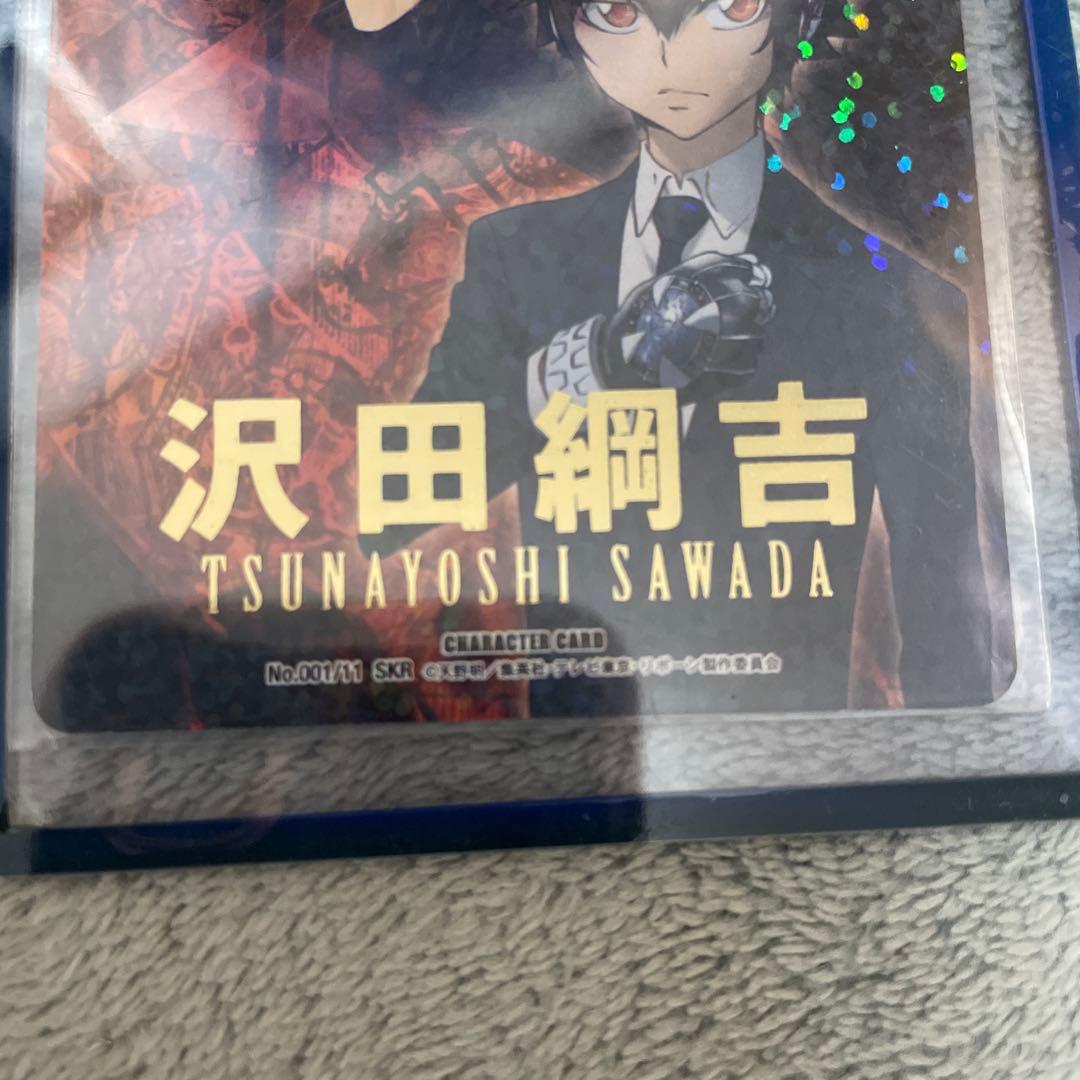 家庭教師REBORN!! CCG 沢田綱吉 キャラクターカード SKR