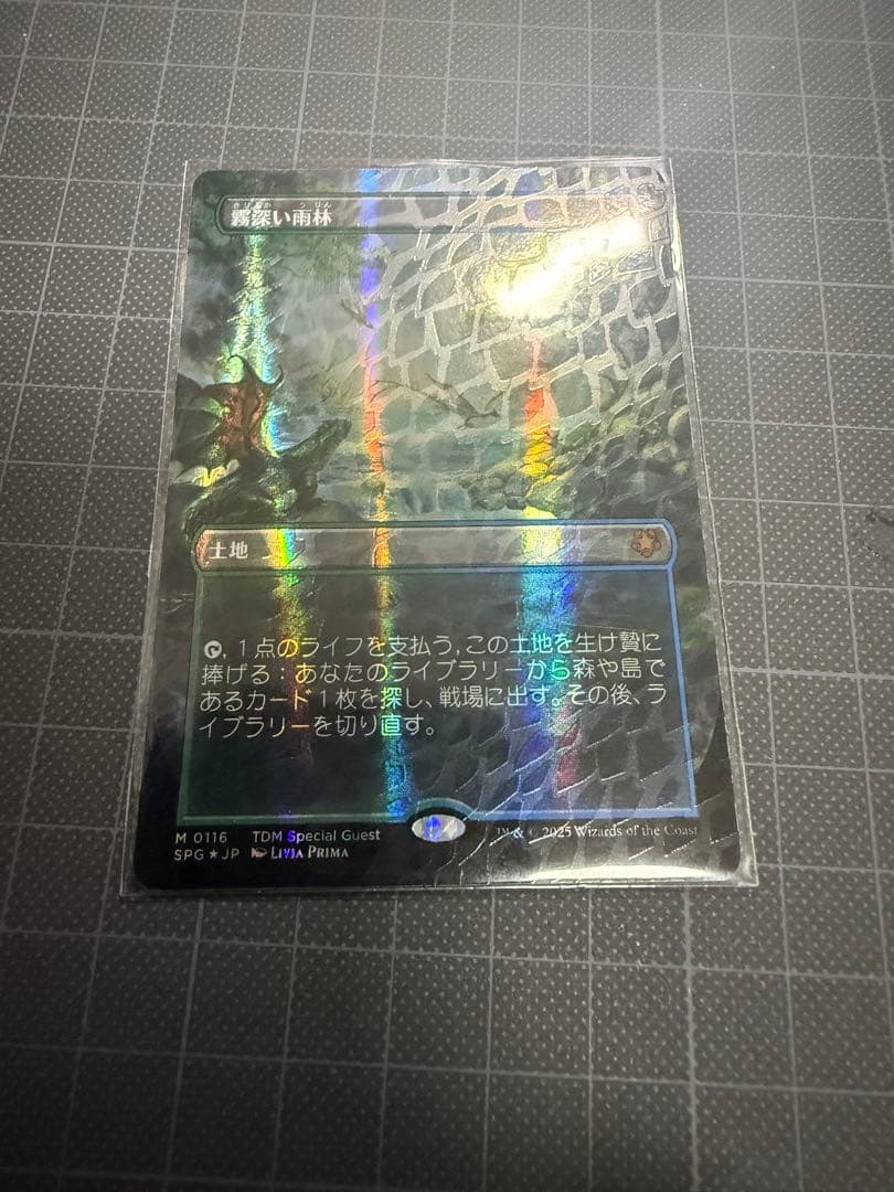 mtg 霧深い雨林/Misty Rainforest ドラゴンスケイルfoil