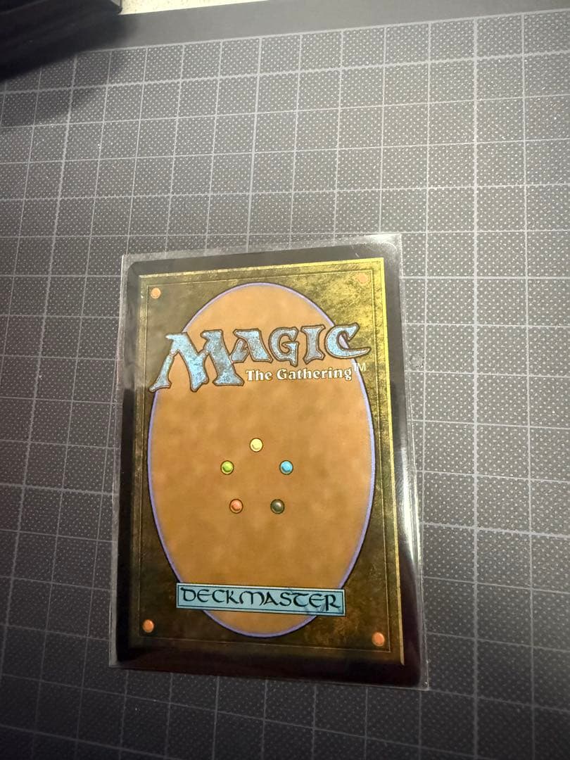 mtg 霧深い雨林/Misty Rainforest ドラゴンスケイルfoil