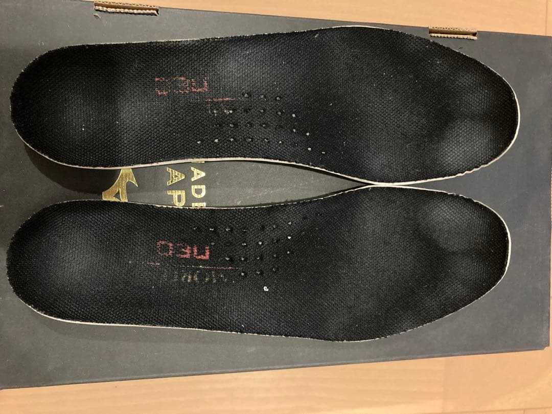 モレリアネオ3 Japan