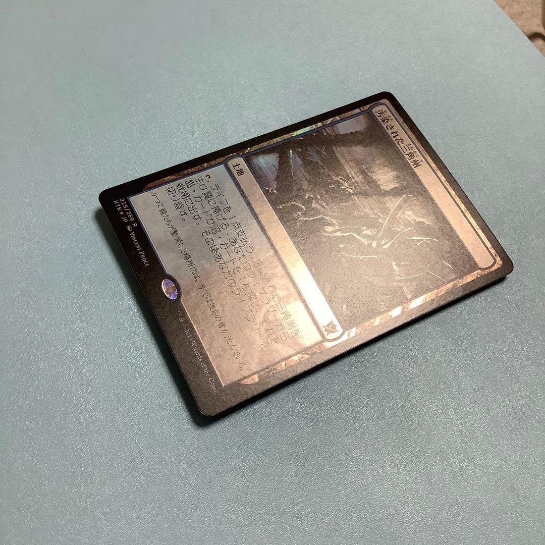 汚染された三角州/Polluted Delta  KTK日本語foil