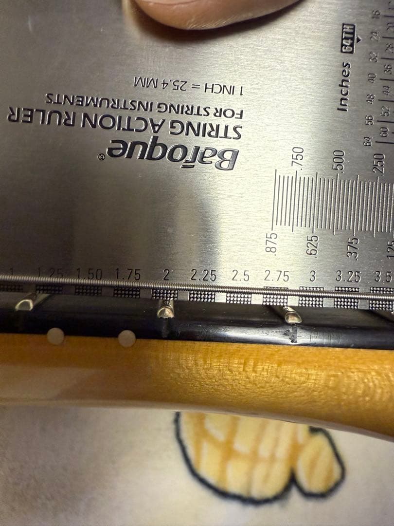 ギター Fender American Professional LTD