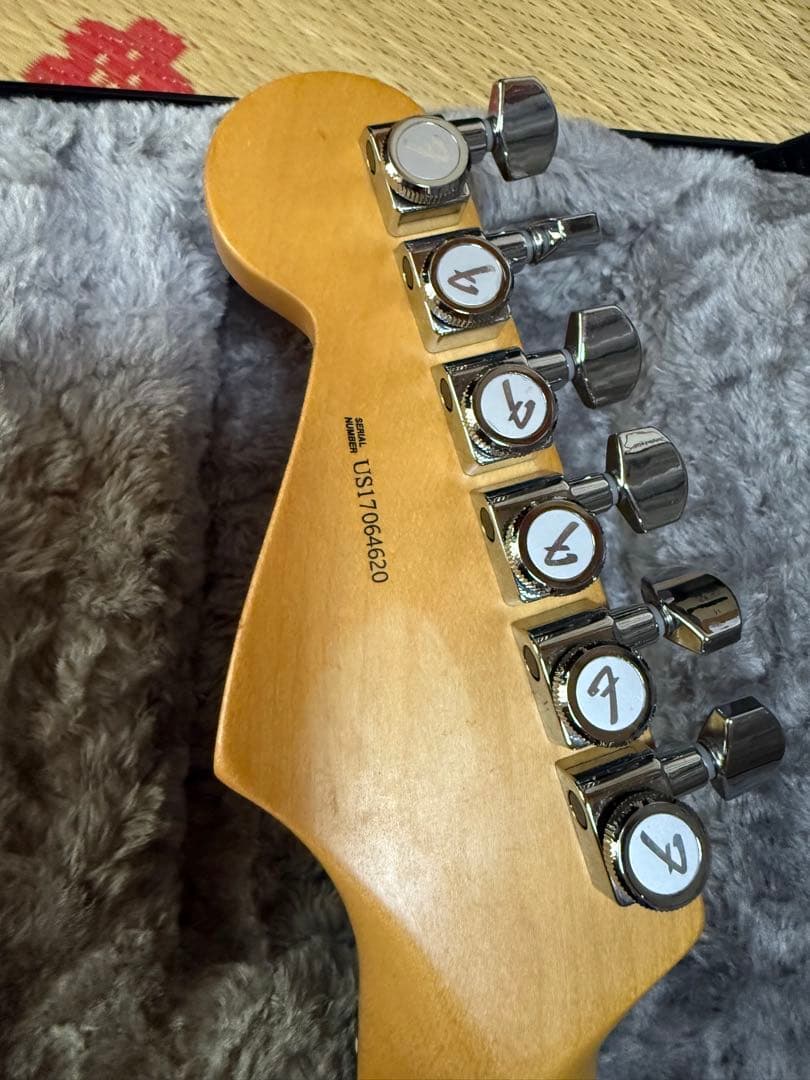 ギター Fender American Professional LTD